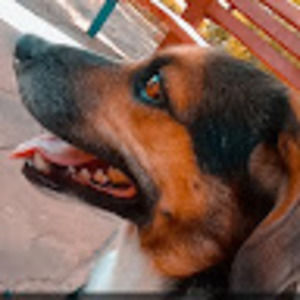 Meet your Posher, Tammybelle